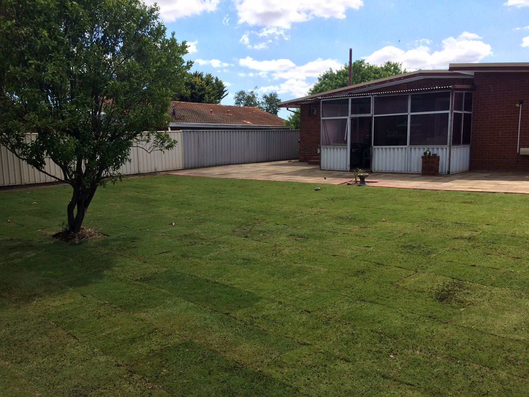 New lawn